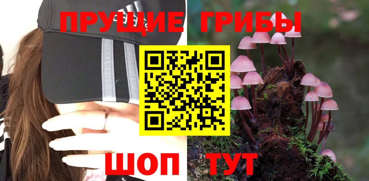 Псилоцибиновые грибы GOLDEN TEACHER  Вход с VPN  Луга  Псилоцибиновые грибы MAGIC MUSHROOMS 